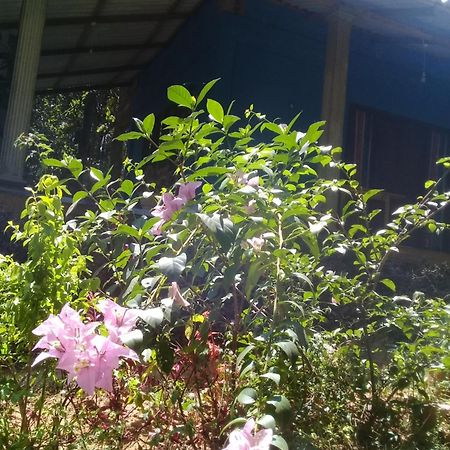 Dambulla Sun Vsh Holiday Ngoại thất bức ảnh