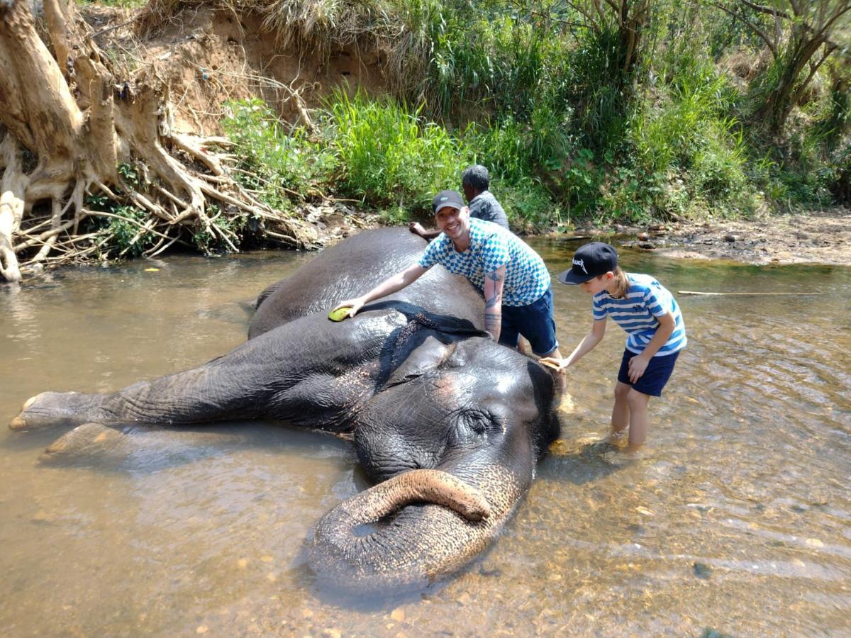 Dambulla Sun Vsh Holiday Ngoại thất bức ảnh
