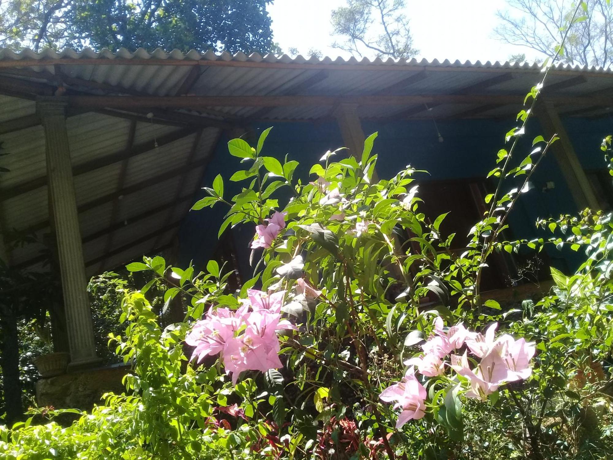 Dambulla Sun Vsh Holiday Ngoại thất bức ảnh